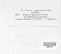 Image Associated With the Occurence